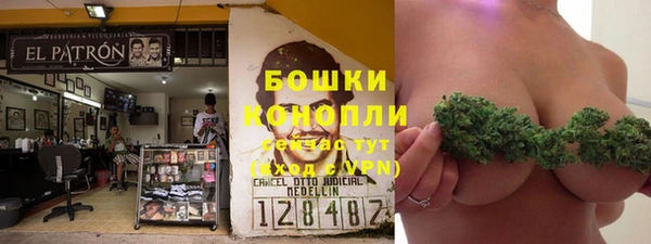 ГАЛЛЮЦИНОГЕННЫЕ ГРИБЫ Богородск
