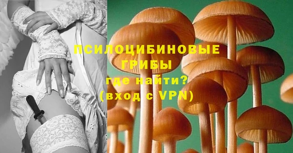 гашик Бронницы